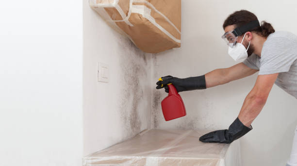 Professional Mold Remediation technician working in Burlington, NJ