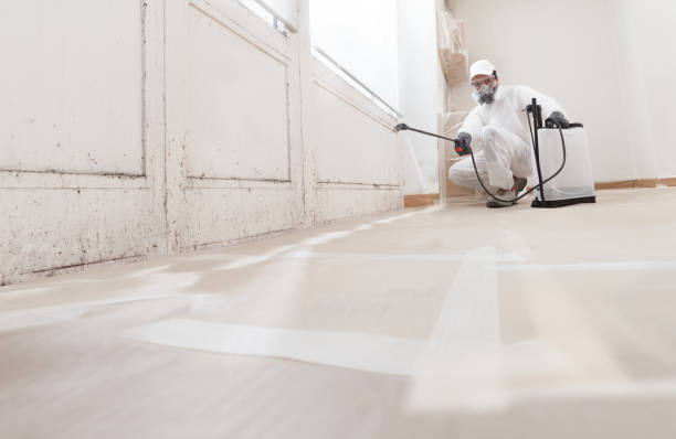 24/7 Emergency Mold Remediation experts in Burlington, NJ