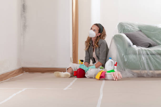 Reliable Mold Remediation contractor in Burlington, NJ by Car Mold Remediation