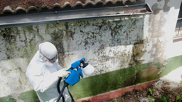 Top rated local Mold Remediation specialists in Burlington, NJ